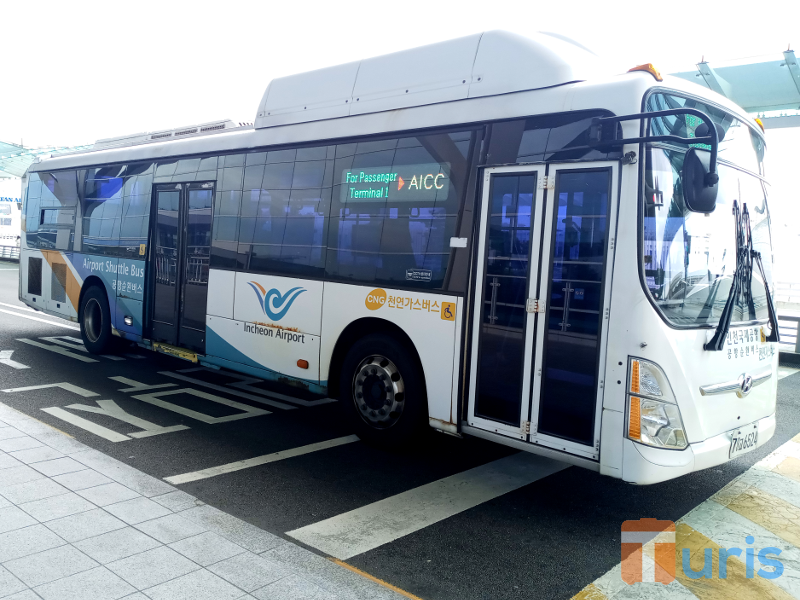 Cara Naik Shuttle Bus Gratis Bandara Incheon untuk Pindah Terminal